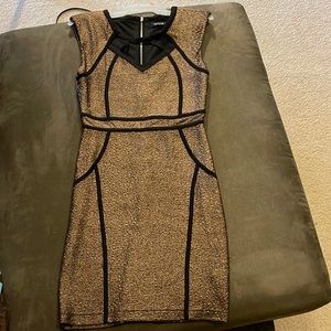 dark gold shimmery dress with black accents